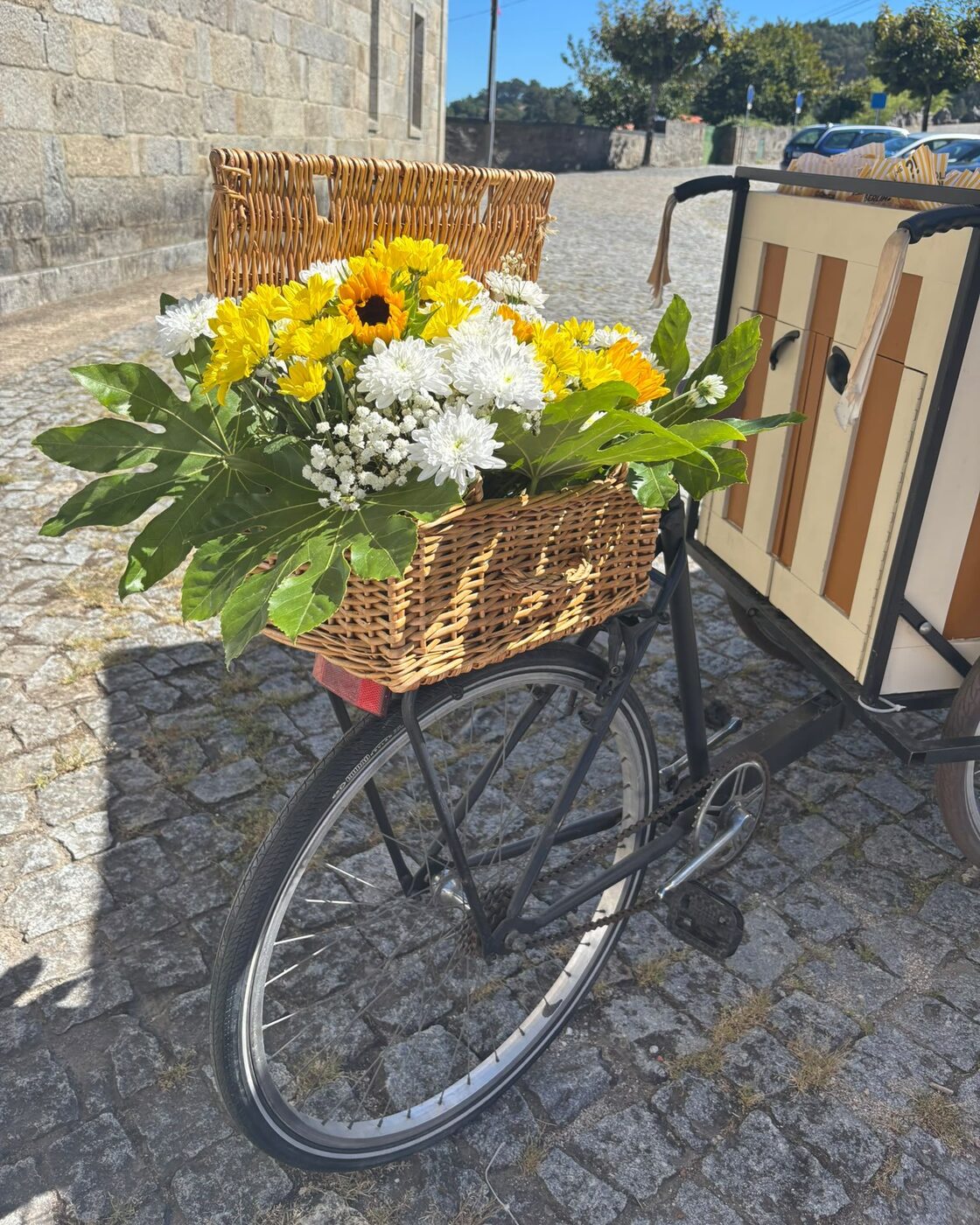 Bicicleta antiga com um cesto de vime cheio de flores amarelas e brancas e um girassol, e o carrinho às riscas creme e ocre, na calçada de granito junto a uma igreja.